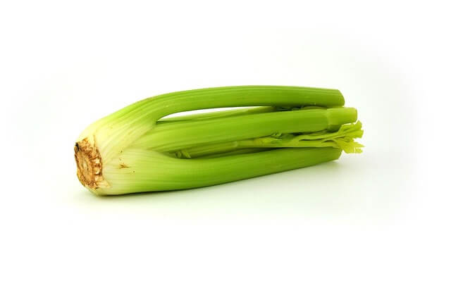 Benefits of Drinking Celery Juice on an Empty Stomach