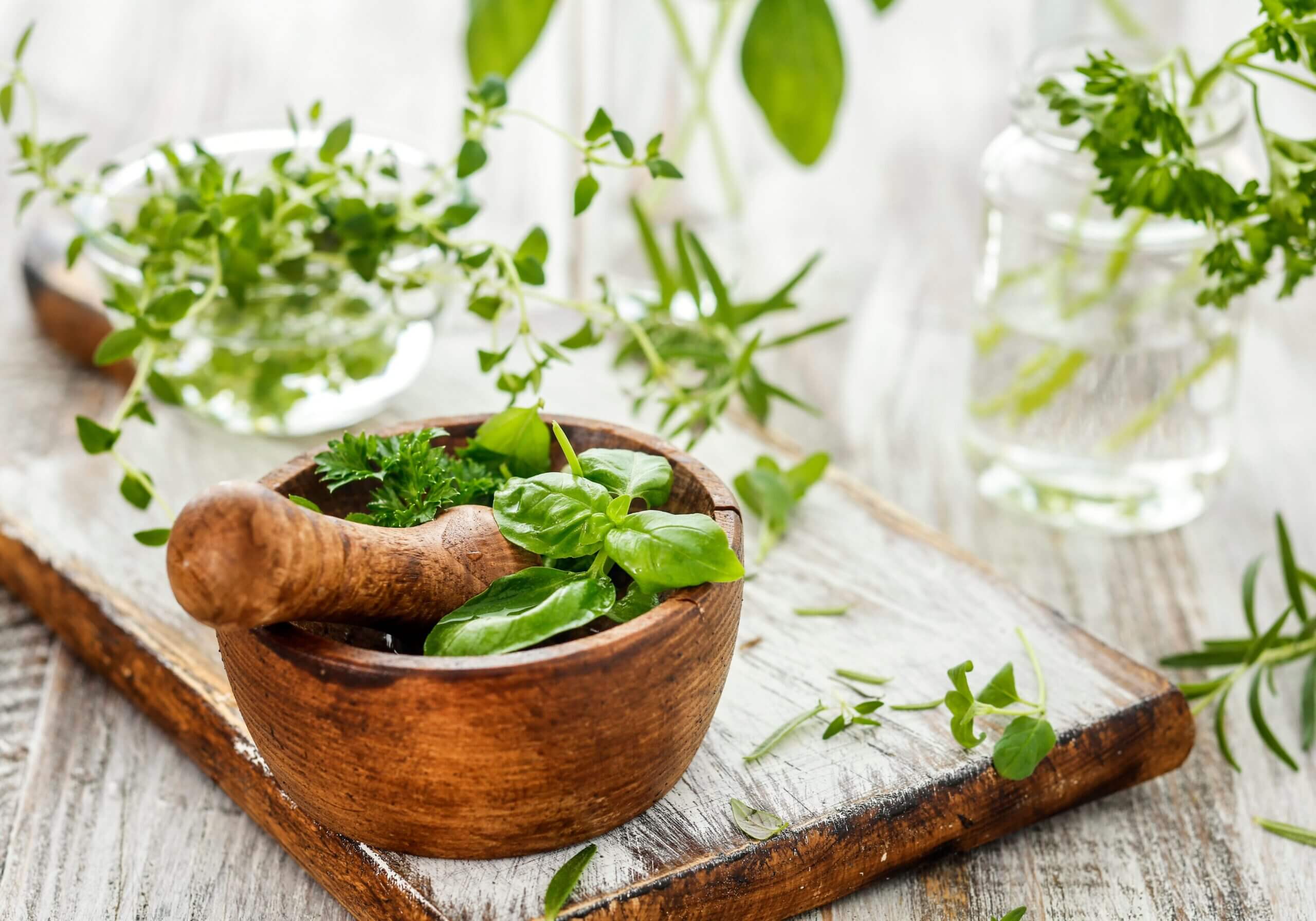 Best herbs for skin repair