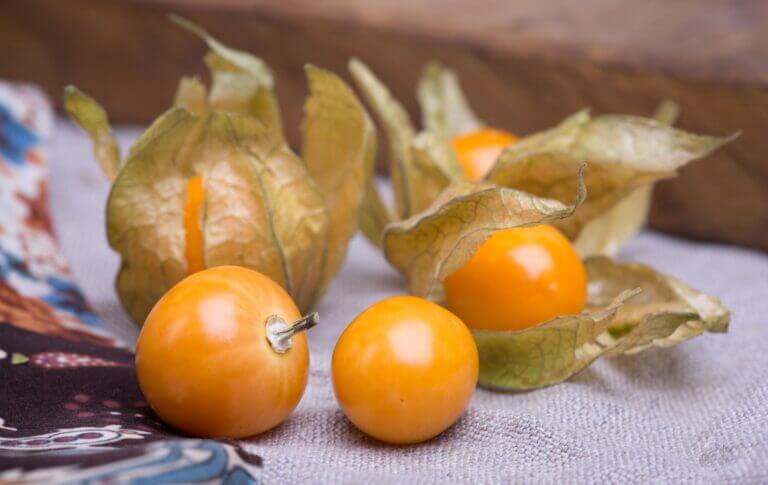 8 Impressive Physalis Fruit Benefits for Your Health