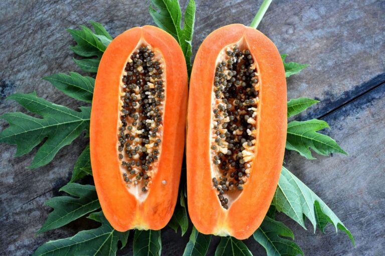 6 Proven Benefits of Papaya for Women’s Health