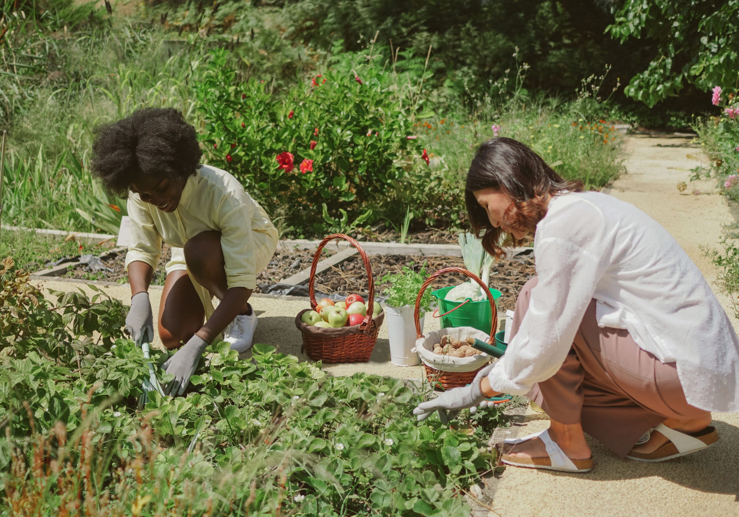 Benefits of Gardening for Mental Health
