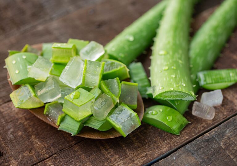 From Acne to Diabetes: List of Diseases Cured by Aloe Vera